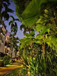 Varsity Park Condominium (D5), Condominium #456344061